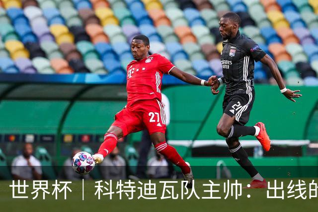 世界杯｜科特迪瓦队主帅：出线的关键在于团队成长